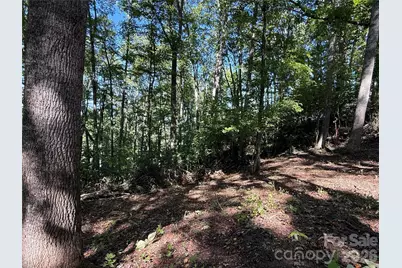 9999 Elk Ridge Drive #Parcel B, Asheville, NC 28804 - Photo 7