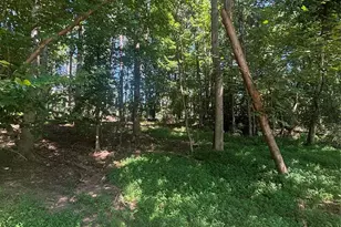 000 Pineview Ct, Tryon, NC 28782 - Photo 1