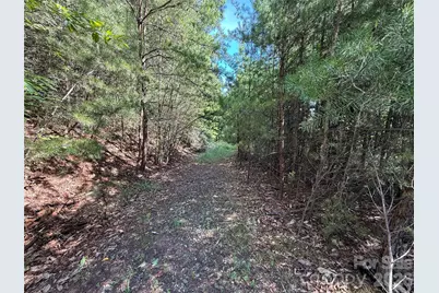 Tbd Wolf Pen Road #24, Purlear, NC 28665 - Photo 7