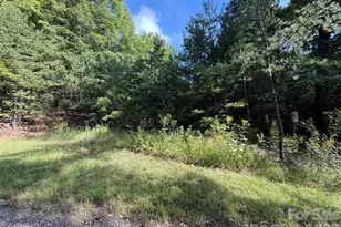 Tbd Wolf Pen Rd, Purlear, NC 28665 - Photo 1