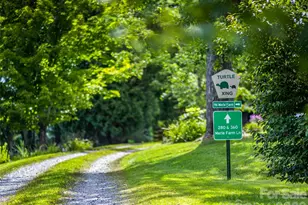 96 Merle Farm Ln, Pisgah Forest, NC 28768 - Photo 47
