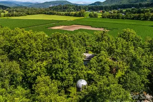 96 Merle Farm Ln, Pisgah Forest, NC 28768 - Photo 11