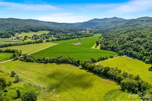 96 Merle Farm Ln, Pisgah Forest, NC 28768 - Photo 9