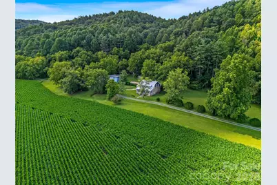 96 Merle Farm Lane, Pisgah Forest, NC 28768 - Photo 29