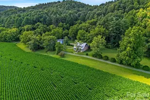 96 Merle Farm Ln, Pisgah Forest, NC 28768 - Photo 29