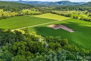 96 Merle Farm Ln, Pisgah Forest, NC 28768 - Photo 7