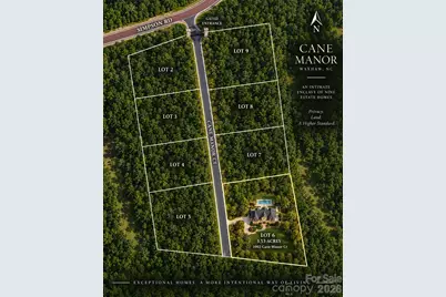 1002 Cane Manor Court, Waxhaw, NC 28173 - Photo 15
