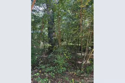 Tbd Bedford Creek Road, Ellenboro, NC 28040 - Photo 1