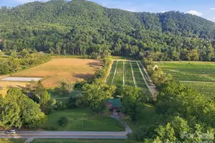 720 Cane Creek Rd, Fletcher, NC 28732 - Photo 3