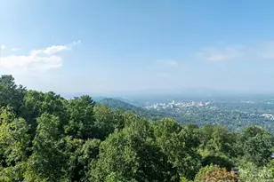99999 Westhaven Dr, Asheville, NC 28804 - Photo 1