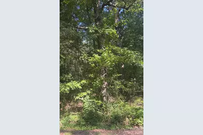 000 Sweet Home Church Road, Albemarle, NC 28001 - Photo 1