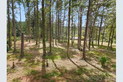 1452 Sweeten Creek Road, Asheville, NC 28803 - Photo 39
