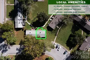 27 Trowbridge Ln, Brevard, NC 28712 - Photo 25