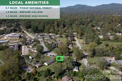 27 Trowbridge Lane, Brevard, NC 28712 - Photo 27