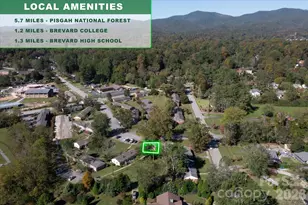 27 Trowbridge Ln, Brevard, NC 28712 - Photo 27