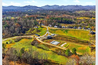 202 Westridge Farm Road, Asheville, NC 28804 - Photo 3