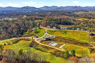 202 Westridge Farm Rd, Asheville, NC 28804 - Photo 3