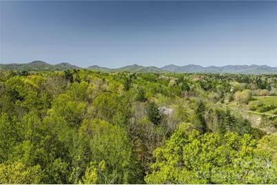 202 Westridge Farm Road, Asheville, NC 28804 - Photo 41
