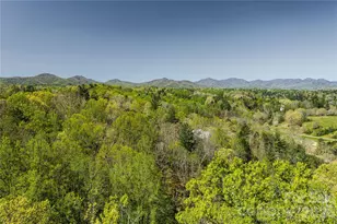 202 Westridge Farm Rd, Asheville, NC 28804 - Photo 41