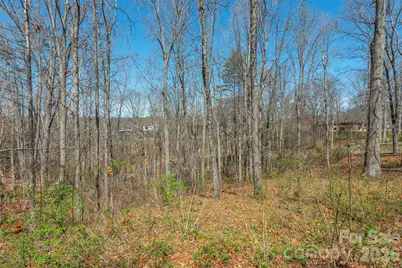 45 Sweet Fern Parkway #43, Asheville, NC 28804 - Photo 5