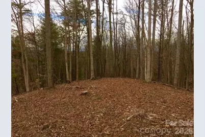 45 Sweet Fern Parkway #43, Asheville, NC 28804 - Photo 3