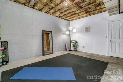 148 Stradley Mountain Road, Asheville, NC 28806 - Photo 29