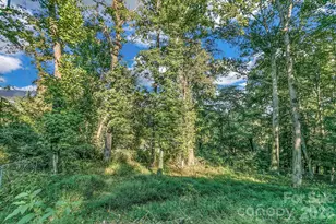 148 Stradley Mountain Rd, Asheville, NC 28806 - Photo 35