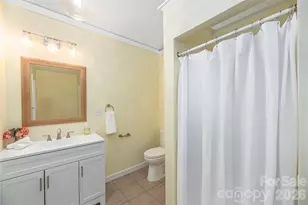 223 Davidson Rd, Swannanoa, NC 28778 - Photo 19