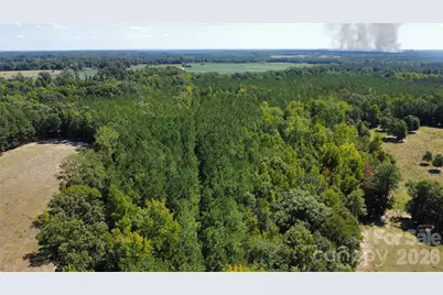 0000 Blair Hendrick Road, Mount Croghan, SC 29727 - Photo 3