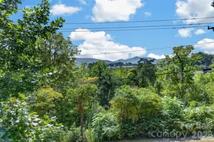 266 Starnes Cove Rd, Candler, NC 28715 - Photo 33