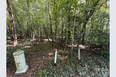 Lot 20 & 21 Zinzendorf Lane #20 & 21, Moravian Falls, NC 28654 - Photo 3