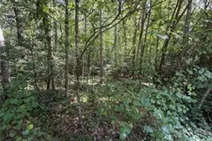 Lot 20 21 Zinzendorf Ln, Moravian Falls, NC 28654 - Photo 1