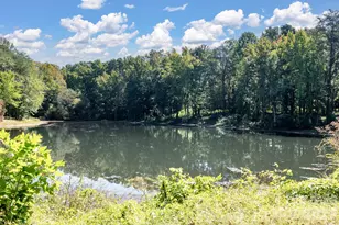 1291 Hines Rd, Clover, SC 29710 - Photo 35
