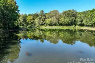 1291 Hines Rd, Clover, SC 29710 - Photo 3