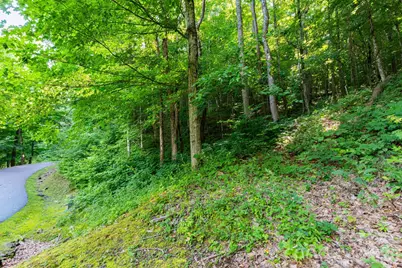 30 Finlaystone Trace, Waynesville, NC 28786 - Photo 9