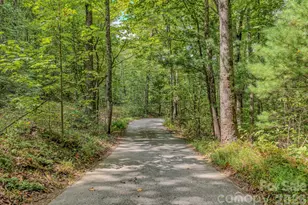 633 Kingdom Pl, Zirconia, NC 28790 - Photo 35