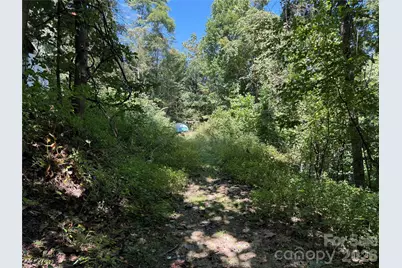 137 Nancy Mountain Road, Rosman, NC 28772 - Photo 9