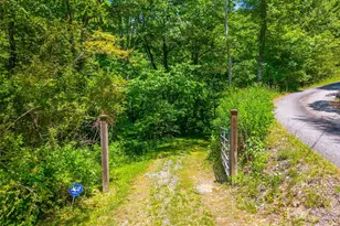 255 Bailey Ave, Bryson City, NC 28713 - Photo 37