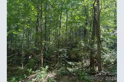 00 Camp Knob Road, Casar, NC 28020 - Photo 23