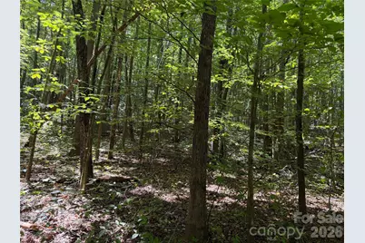 00 Camp Knob Road, Casar, NC 28020 - Photo 21