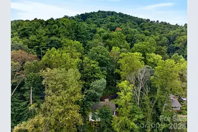 39 Spooks Branch Extension, Asheville, NC 28804 - Photo 33