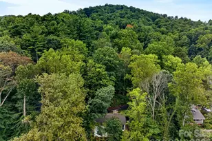39 Spooks Branch Extension, Asheville, NC 28804 - Photo 33
