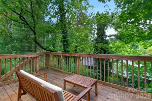 39 Spooks Branch Extension, Asheville, NC 28804 - Photo 27