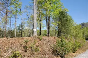 00 Wambli Pass, Lake Lure, NC 28746 - Photo 37