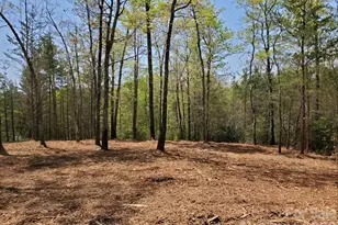 00 Wambli Pass, Lake Lure, NC 28746 - Photo 31
