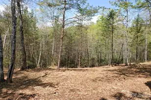 00 Wambli Pass, Lake Lure, NC 28746 - Photo 39