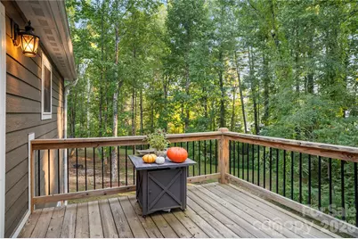 212 Walt Drive, Hendersonville, NC 28792 - Photo 37