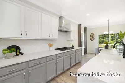 143 Bear Branch Drive #114p, Statesville, NC 28677 - Photo 3
