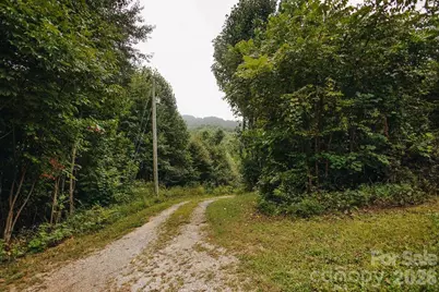 6830 Bat Cave Road, Old Fort, NC 28762 - Photo 45