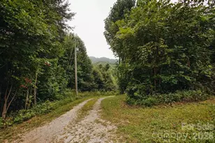 6830 Bat Cave Rd, Old Fort, NC 28762 - Photo 45